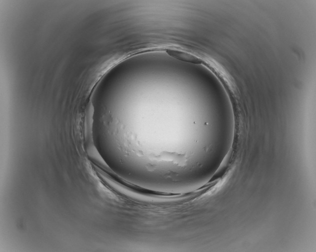 X0000111191001200907011408