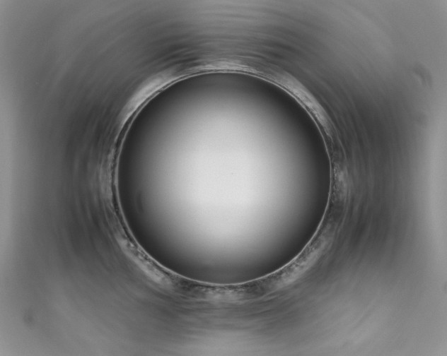 X0000111191002200907011408