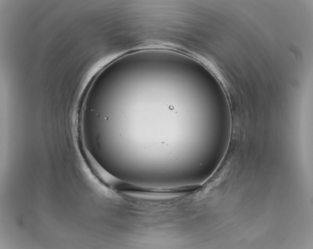 X0000111191003200907011408