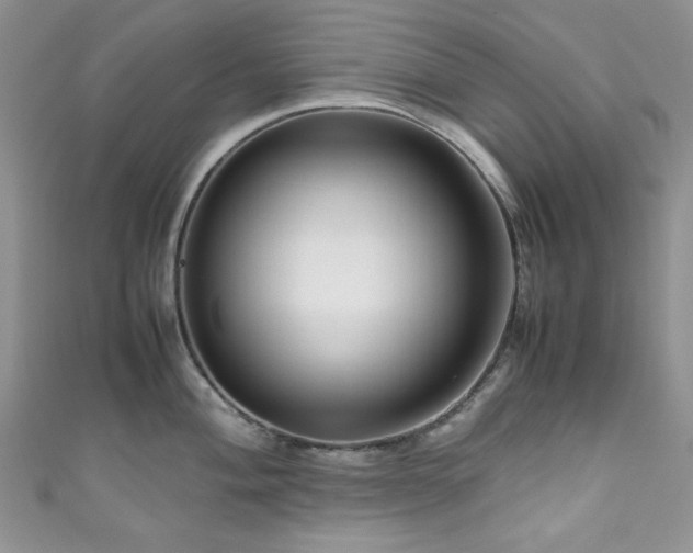 X0000111191004200907011408