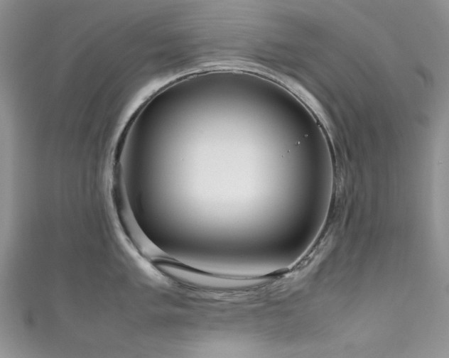 X0000111191005200907011408