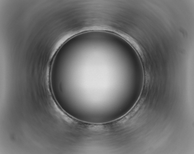 X0000111191006200907011408