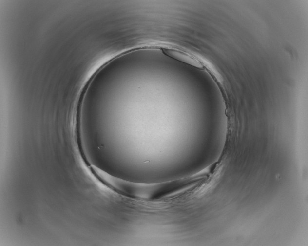 X0000111191007200907011408