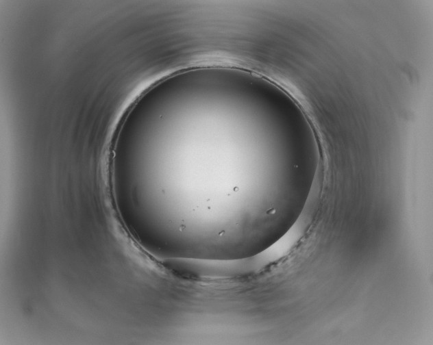 X0000111191008200907011408