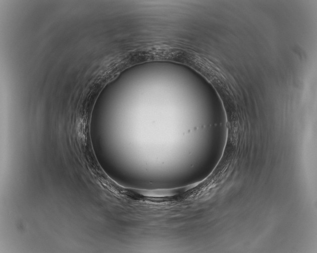 X0000111191010200907011407