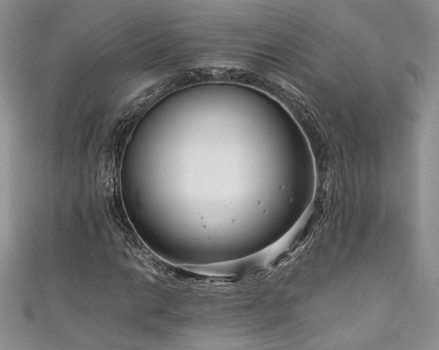 X0000111191014200907011407