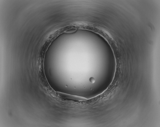 X0000111191016200907011407