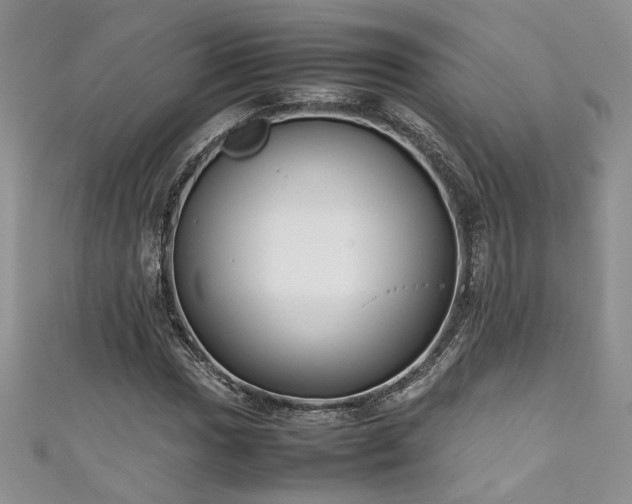 X0000111191017200907011407