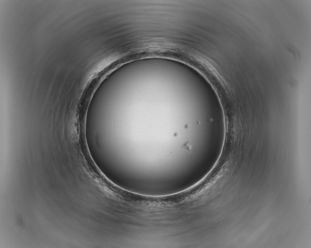 X0000111191018200907011407