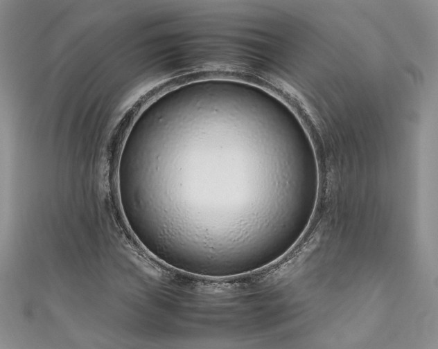 X0000111191019200907011407