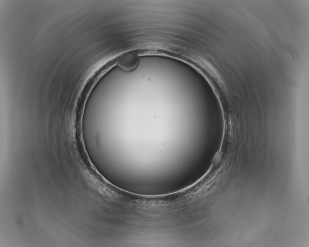 X0000111191020200907011407