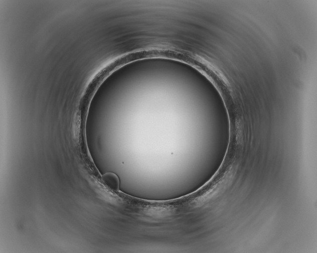 X0000111191021200907011407