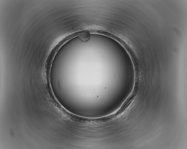 X0000111191022200907011408