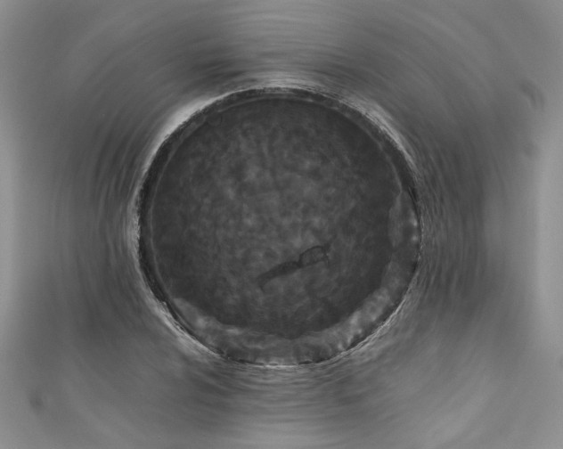 X0000111191024200907011408