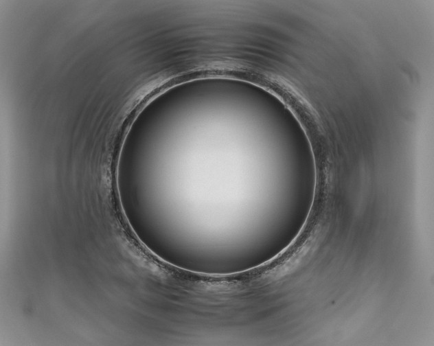 X0000111191025200907011408