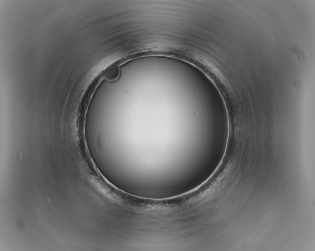 X0000111191026200907011408