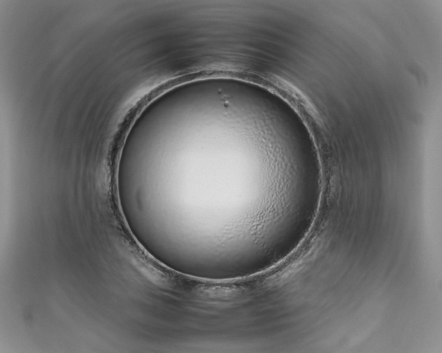 X0000111191027200907011408