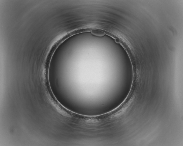 X0000111191029200907011408