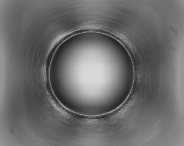 X0000111191030200907011408