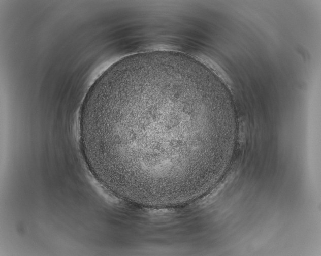 X0000111191031200907011408