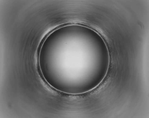 X0000111191032200907011408