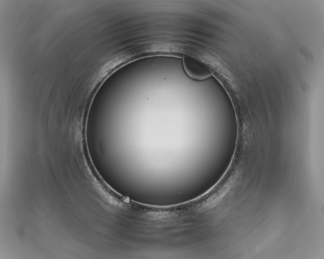 X0000111191033200907011408