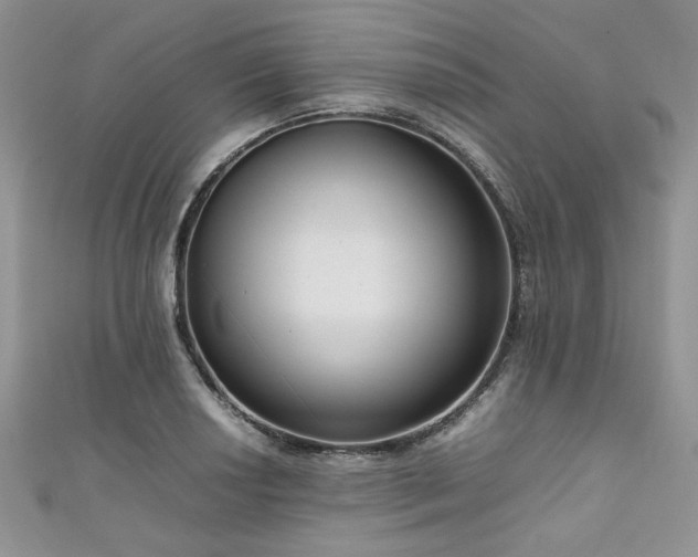 X0000111191034200907011408