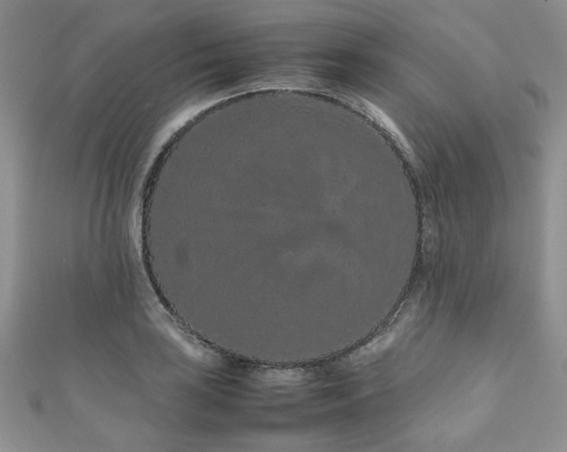 X0000111191035200907011408