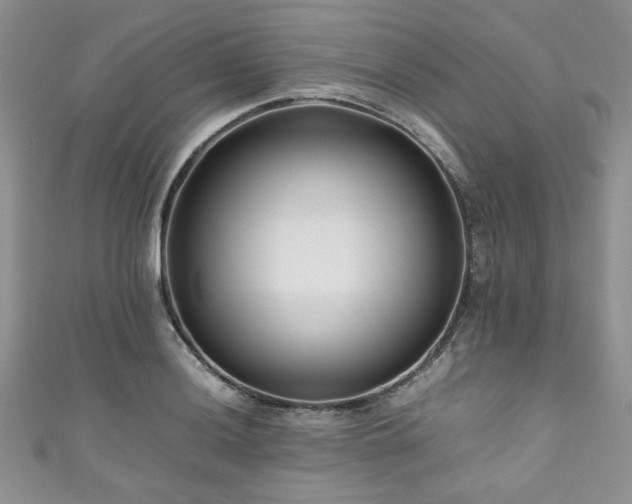 X0000111191036200907011408