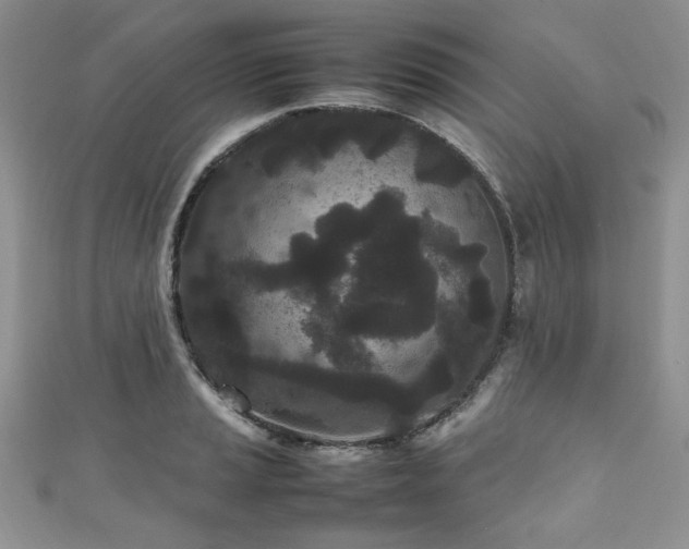 X0000111191037200907011408