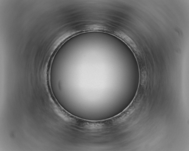 X0000111191039200907011408