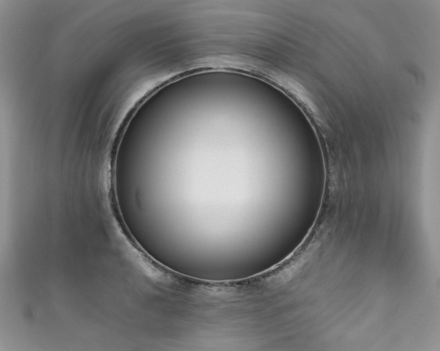 X0000111191040200907011408