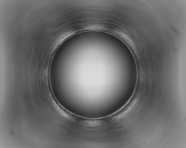 X0000111191041200907011408