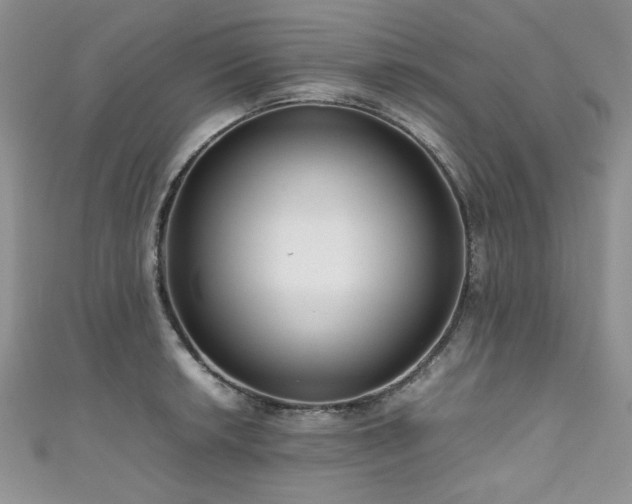 X0000111191042200907011408