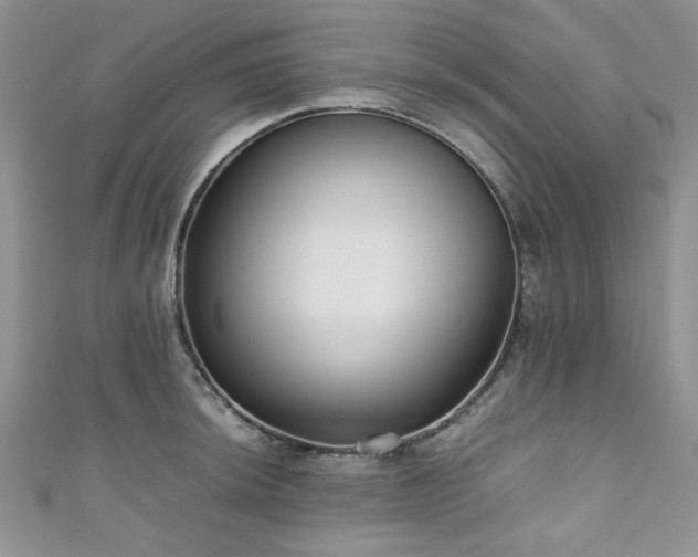 X0000111191044200907011408