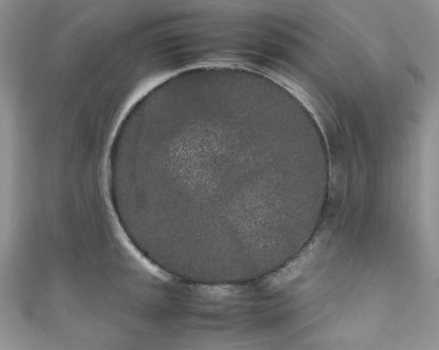 X0000111191045200907011408