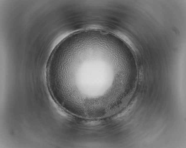 X0000111191047200907011408