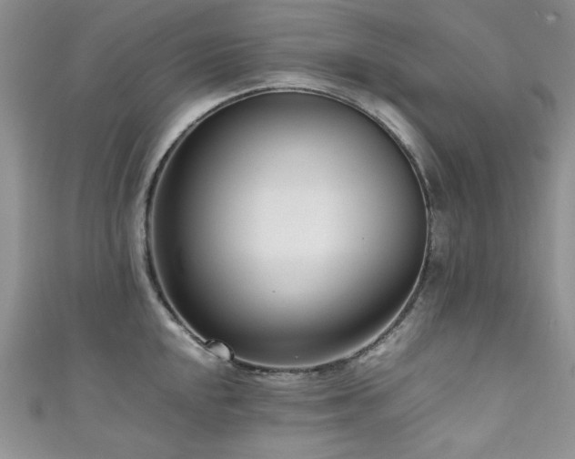 X0000111191048200907011408