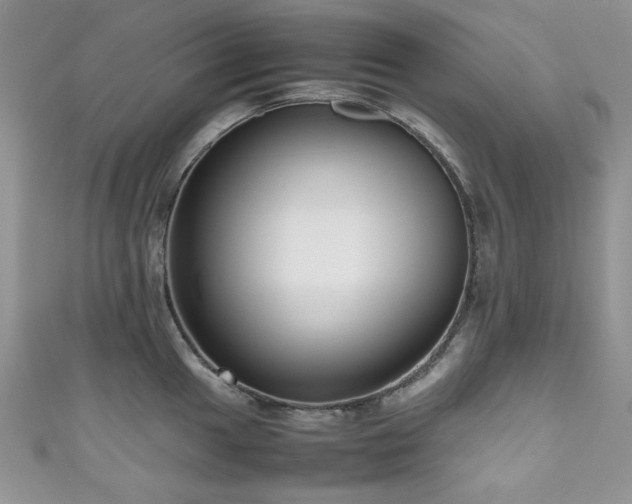 X0000111191049200907011408