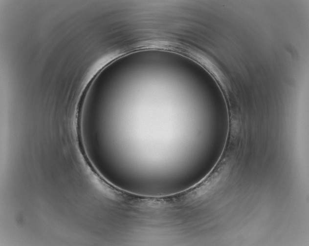 X0000111191050200907011408