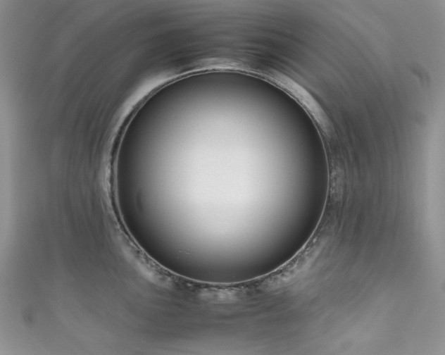 X0000111191051200907011408