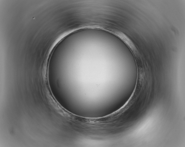 X0000111191052200907011408