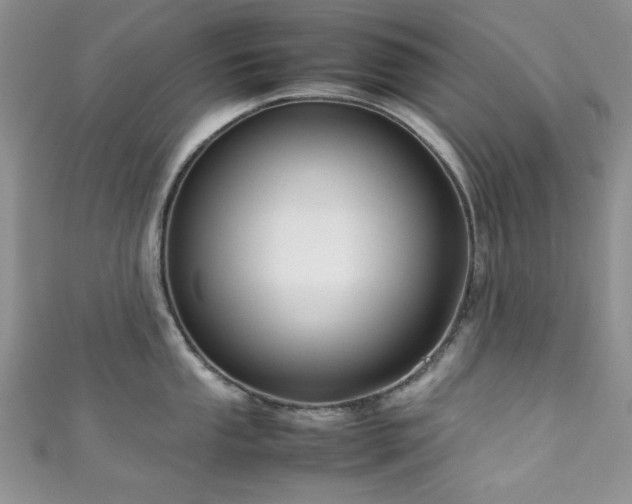 X0000111191053200907011408