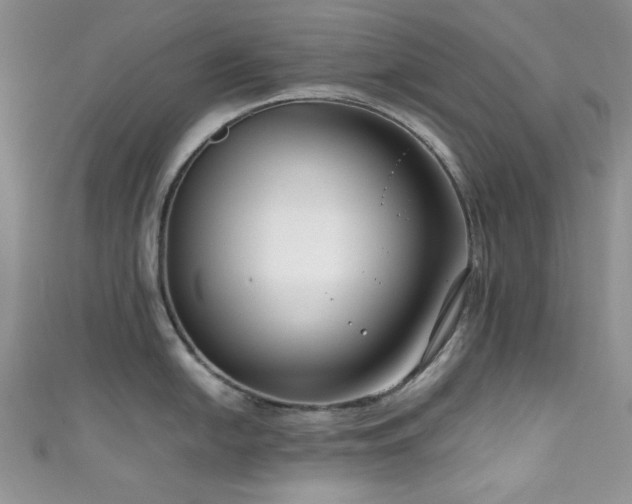 X0000111191054200907011408