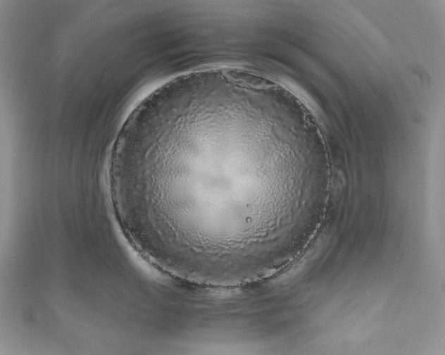 X0000111191055200907011408