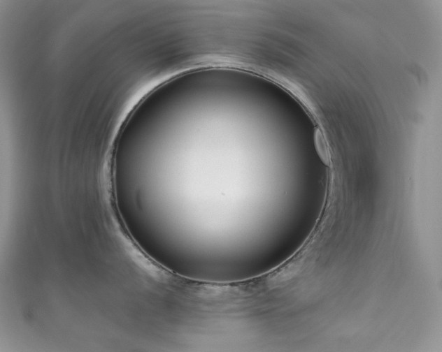 X0000111191056200907011408