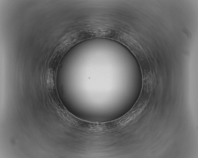 X0000111191058200907011407