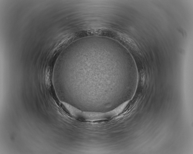 X0000111191060200907011407