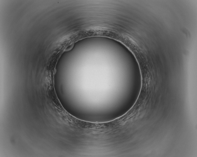 X0000111191062200907011407