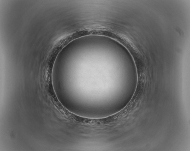 X0000111191063200907011407